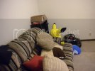 DSCN5672.avif