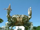 GIANT_CRAB.avif