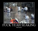 seaking.avif