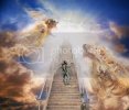 savageheaven.avif