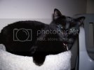 100_0244.avif