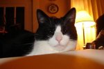 DSC00600.avif