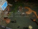 100_1253.avif 100_1253.avif