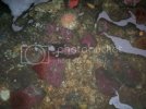 100_1249.avif 100_1249.avif