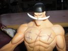 WhiteBeard02.avif