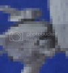 Garde_zps1101047f.avif