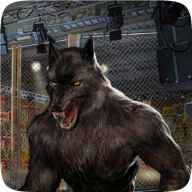 Lycan fly