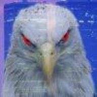 Eagle_Dave