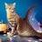 Mercat