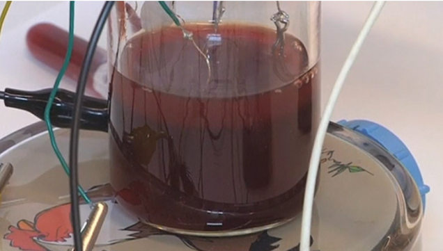 Blood in Beaker