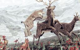 shelter2