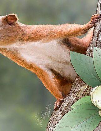 Ankle Evidence Shows Earth’s Earliest Primates Were Tree-Dwellers