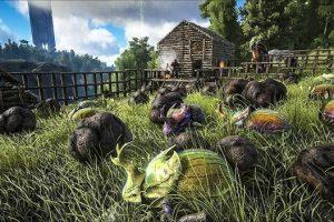 ARK