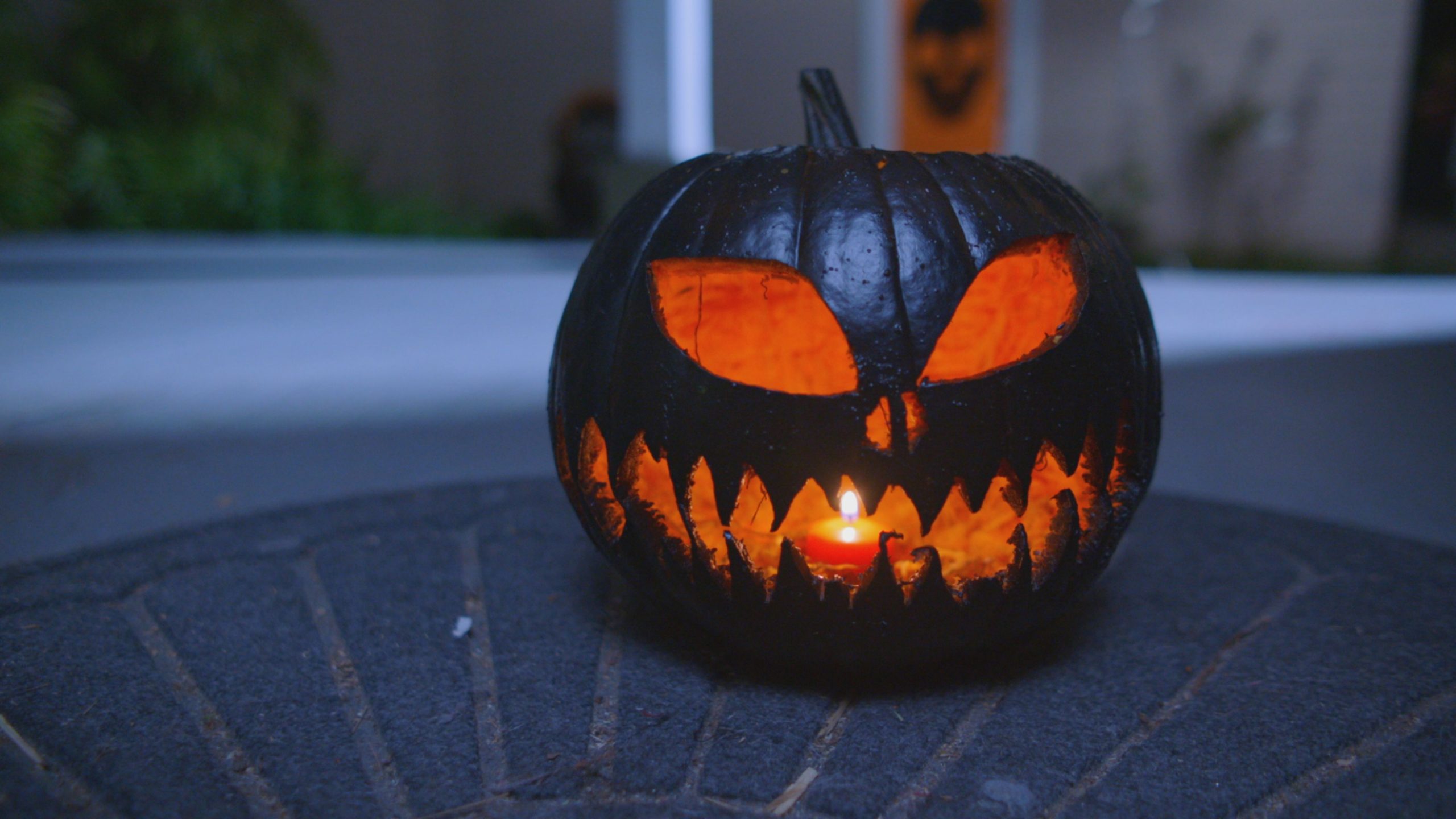 black pumpkin