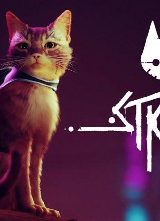 Stray, In this game you are a cat