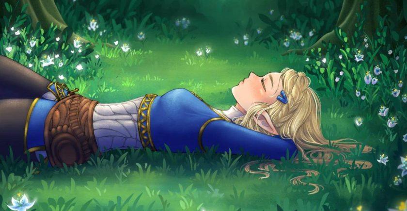 zelda & sleep 2
