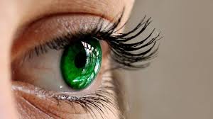 eye color