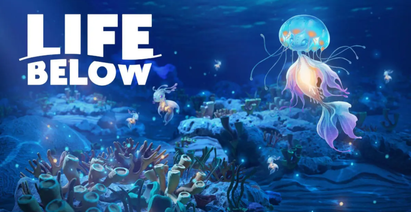 Main art for Life Below