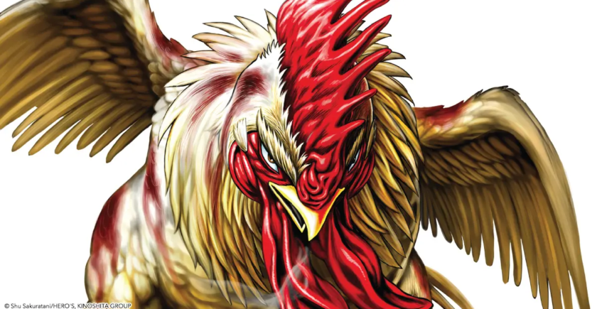 roosterfighter07 blogsplash 1200x630