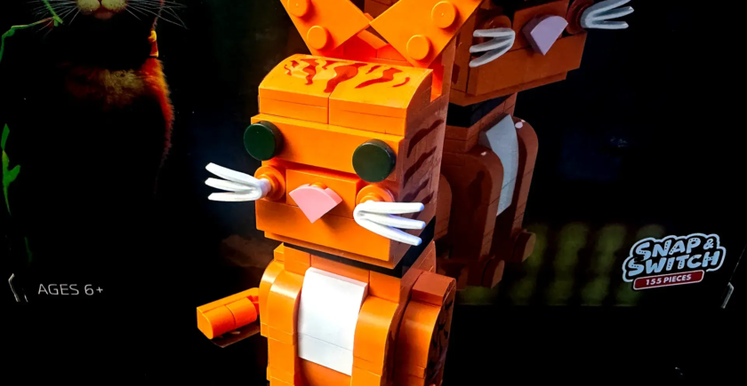 stray block head construction set well played