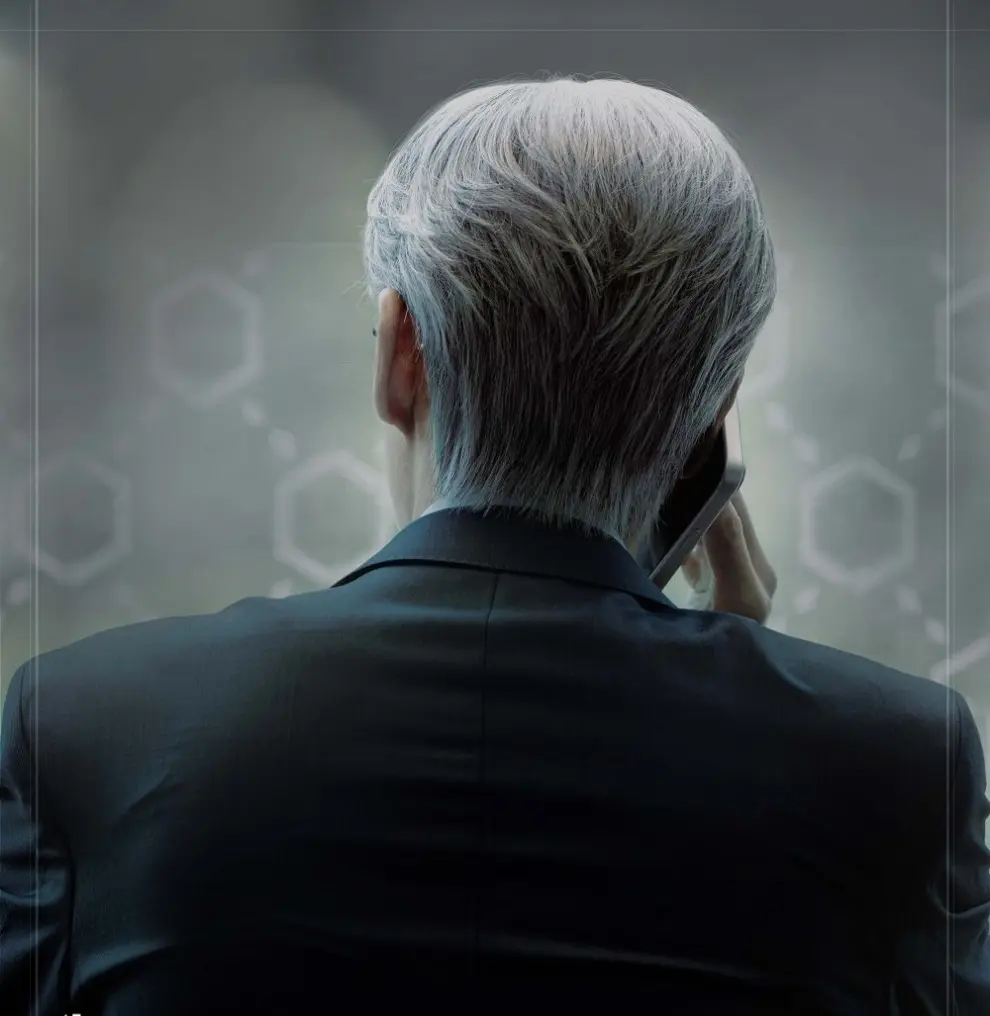 the art of negotiation p