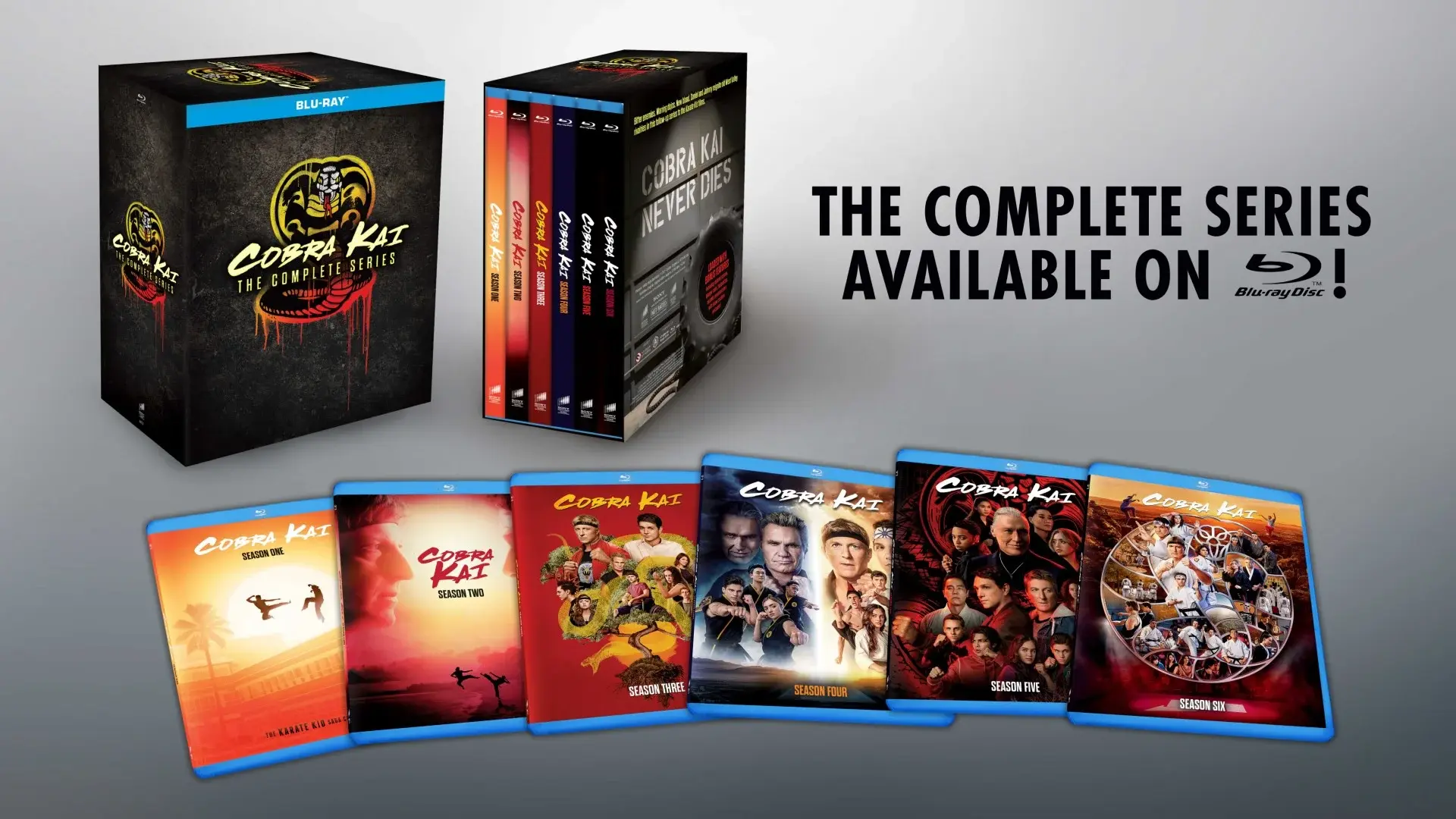 cobra kai complete series