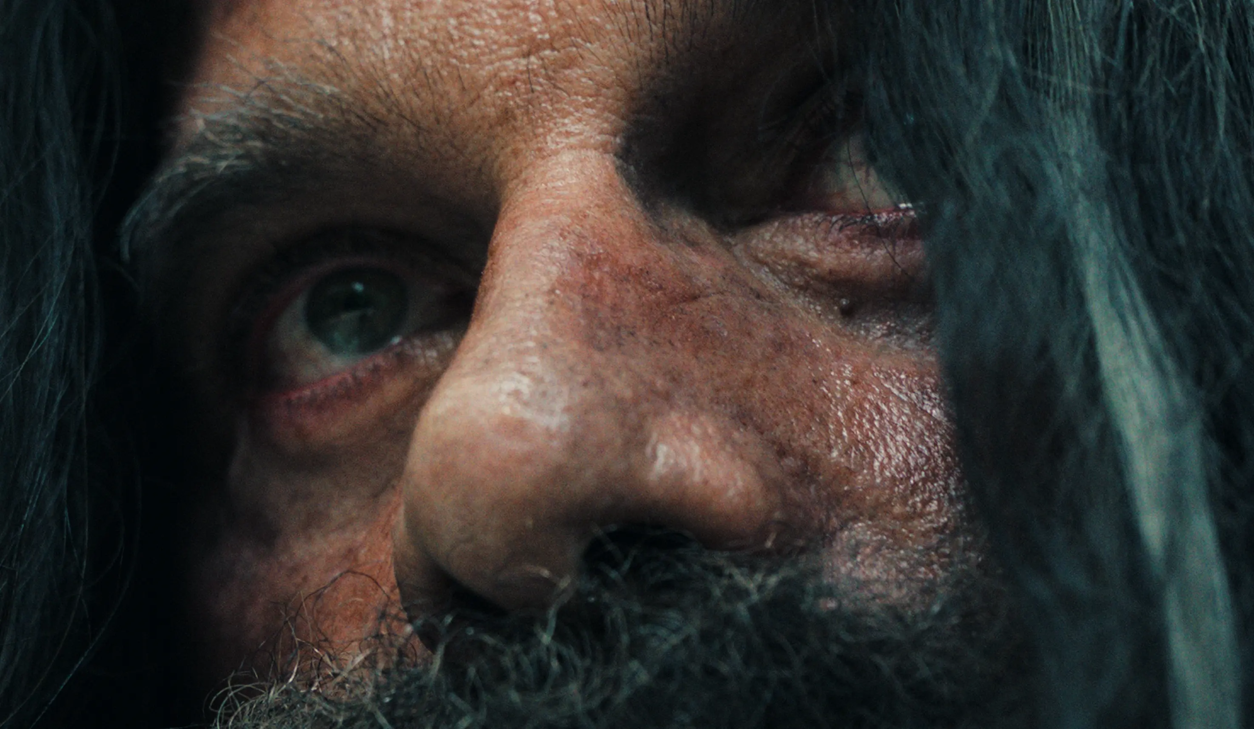 the hermit